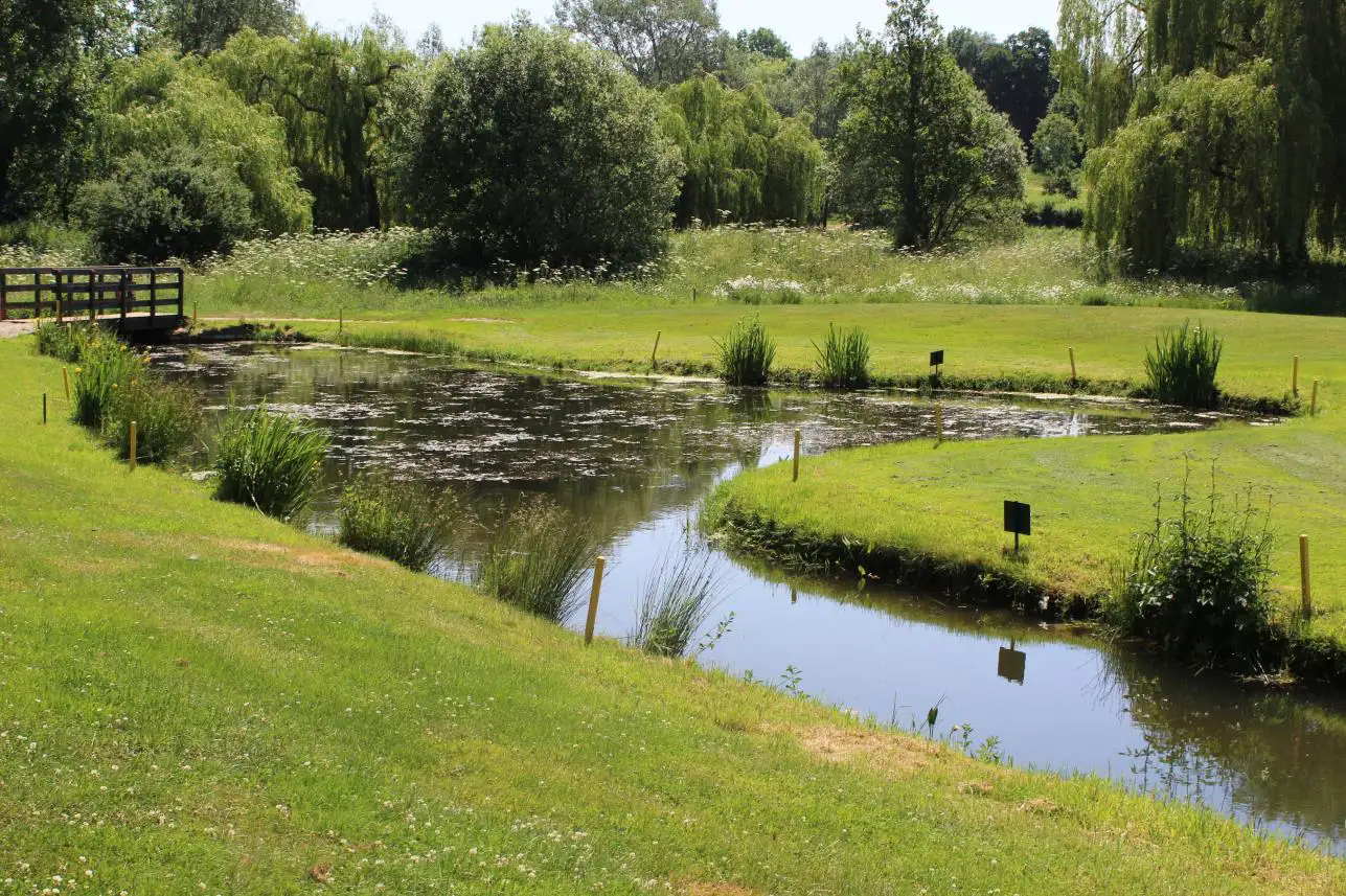 4th hole pond rt 4th hole pond